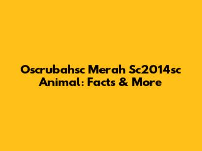 Oscrubahsc Merah Sc2014sc Animal: Facts & More