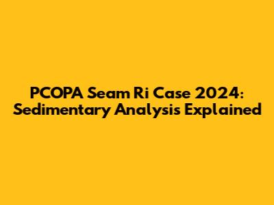 PCOPA Seam Ri Case 2024: Sedimentary Analysis Explained