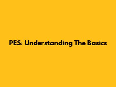 PES: Understanding The Basics