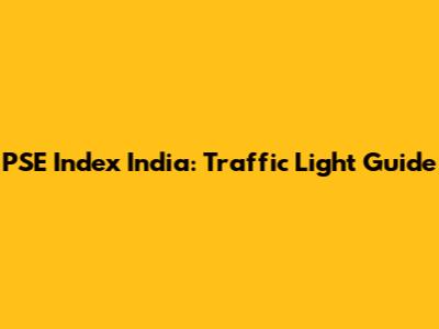 PSE Index India: Traffic Light Guide