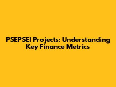 PSEPSEI Projects: Understanding Key Finance Metrics