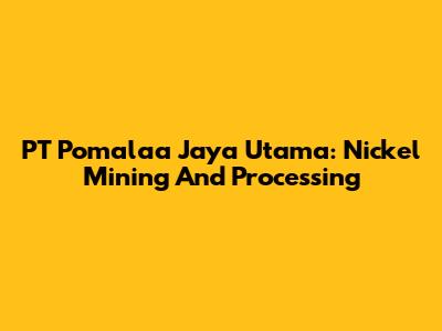 PT Pomalaa Jaya Utama: Nickel Mining And Processing