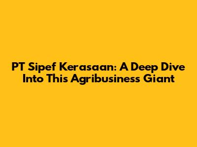 PT Sipef Kerasaan: A Deep Dive Into This Agribusiness Giant