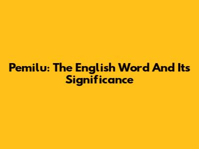 Pemilu: The English Word And Its Significance