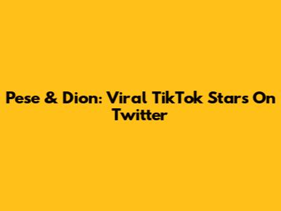Pese & Dion: Viral TikTok Stars On Twitter