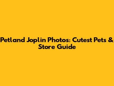 Petland Joplin Photos: Cutest Pets & Store Guide