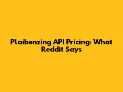 Plaibenzing API Pricing: What Reddit Says