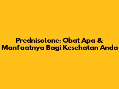 Prednisolone: Obat Apa & Manfaatnya Bagi Kesehatan Anda