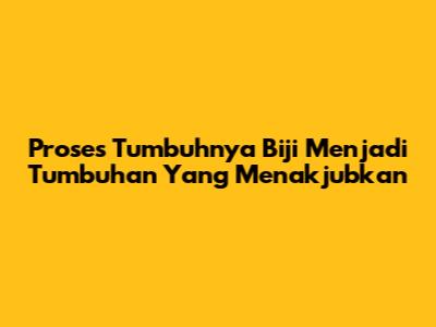 Proses Tumbuhnya Biji Menjadi Tumbuhan Yang Menakjubkan