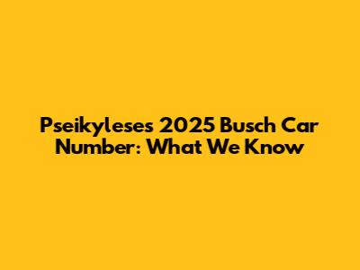 Pseikylese's 2025 Busch Car Number: What We Know