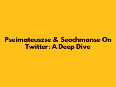 Pseimateuszse & Seochmanse On Twitter: A Deep Dive