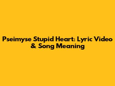 Pseimyse Stupid Heart: Lyric Video & Song Meaning