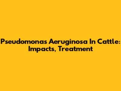 Pseudomonas Aeruginosa In Cattle: Impacts, Treatment