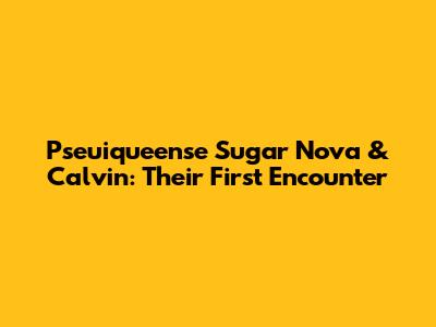 Pseuiqueense Sugar Nova & Calvin: Their First Encounter