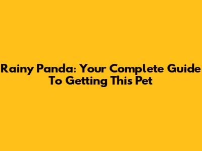 Rainy Panda: Your Complete Guide To Getting This Pet
