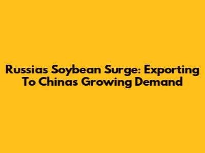 Russia's Soybean Surge: Exporting To China's Growing Demand