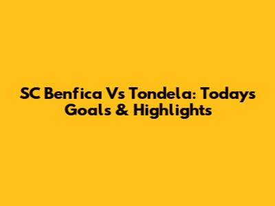 SC Benfica Vs Tondela: Today's Goals & Highlights