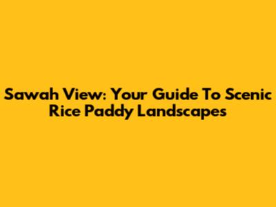 Sawah View: Your Guide To Scenic Rice Paddy Landscapes