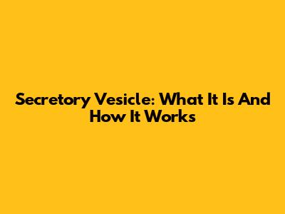 Secretory Vesicle: What It Is And How It Works