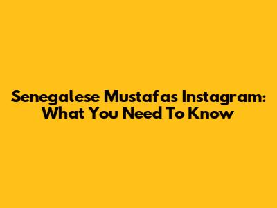 Senegalese Mustafa's Instagram: What You Need To Know