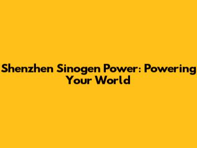 Shenzhen Sinogen Power: Powering Your World