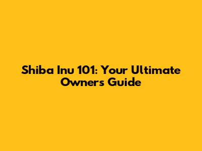 Shiba Inu 101: Your Ultimate Owner's Guide