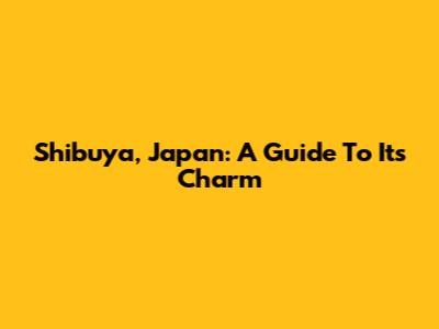 Shibuya, Japan: A Guide To Its Charm