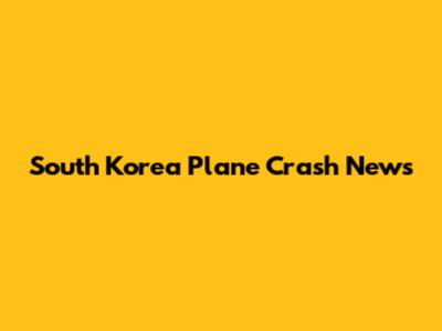 South Korea Plane Crash News