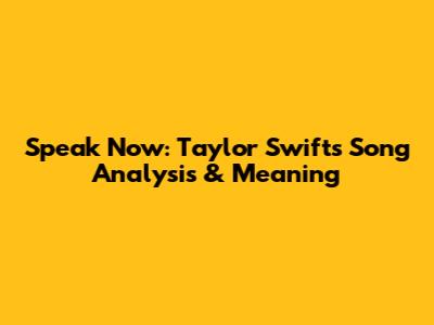 Speak Now: Taylor Swift's Song Analysis & Meaning