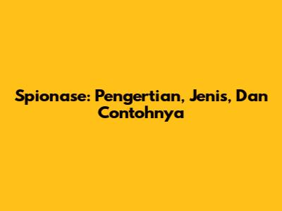 Spionase: Pengertian, Jenis, Dan Contohnya