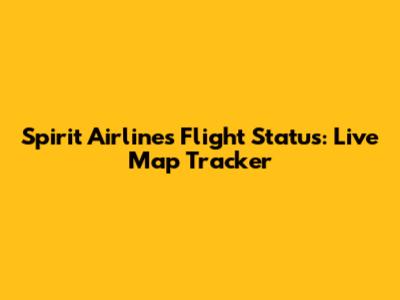 Spirit Airlines Flight Status: Live Map Tracker