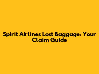 Spirit Airlines Lost Baggage: Your Claim Guide