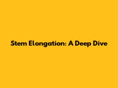Stem Elongation: A Deep Dive