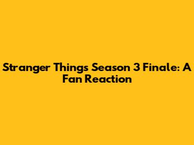 Stranger Things Season 3 Finale: A Fan Reaction