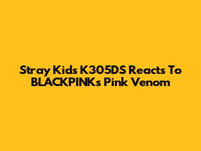Stray Kids' K305DS Reacts To BLACKPINK's Pink Venom