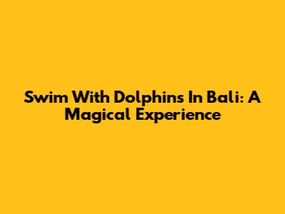 Swim With Dolphins In Bali: A Magical Experience