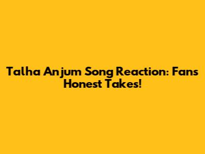 Talha Anjum Song Reaction: Fans' Honest Takes!