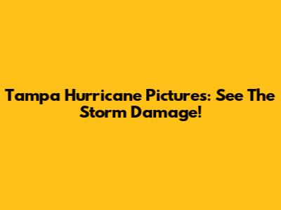 Tampa Hurricane Pictures: See The Storm Damage!