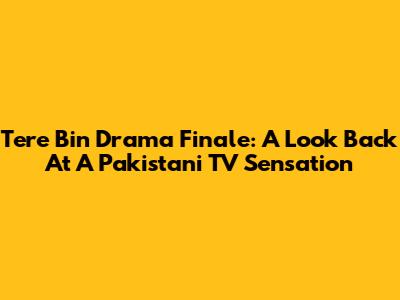 Tere Bin Drama Finale: A Look Back At A Pakistani TV Sensation