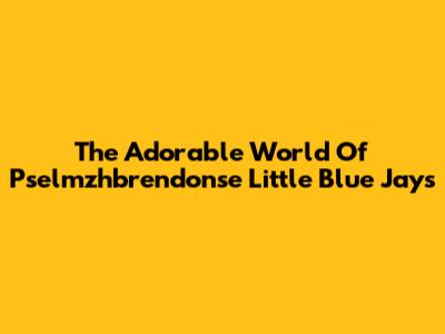 The Adorable World Of Pselmzhbrendonse Little Blue Jays