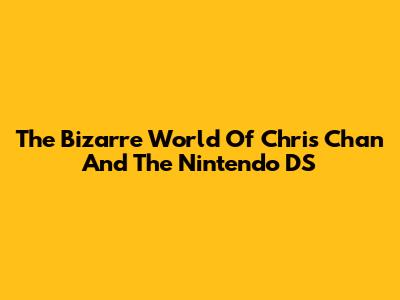 The Bizarre World Of Chris Chan And The Nintendo DS