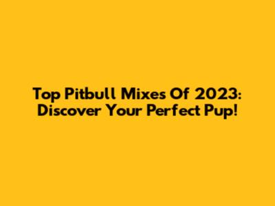 Top Pitbull Mixes Of 2023: Discover Your Perfect Pup!