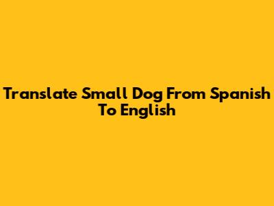 Translate 'Small Dog' From Spanish To English