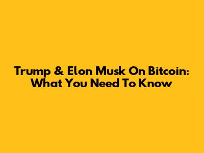 Trump & Elon Musk On Bitcoin: What You Need To Know