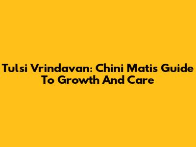 Tulsi Vrindavan: Chini Mati's Guide To Growth And Care