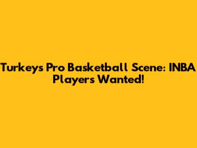 Turkey's Pro Basketball Scene: INBA Players Wanted!