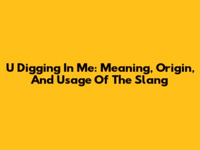 U Digging In Me: Meaning, Origin, And Usage Of The Slang
