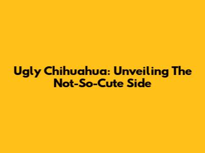 Ugly Chihuahua: Unveiling The Not-So-Cute Side