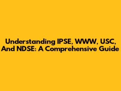 Understanding IPSE, WWW, USC, And NDSE: A Comprehensive Guide