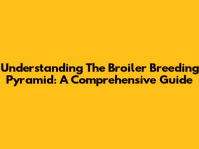 Understanding The Broiler Breeding Pyramid: A Comprehensive Guide